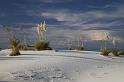 071 White Sands National Monument